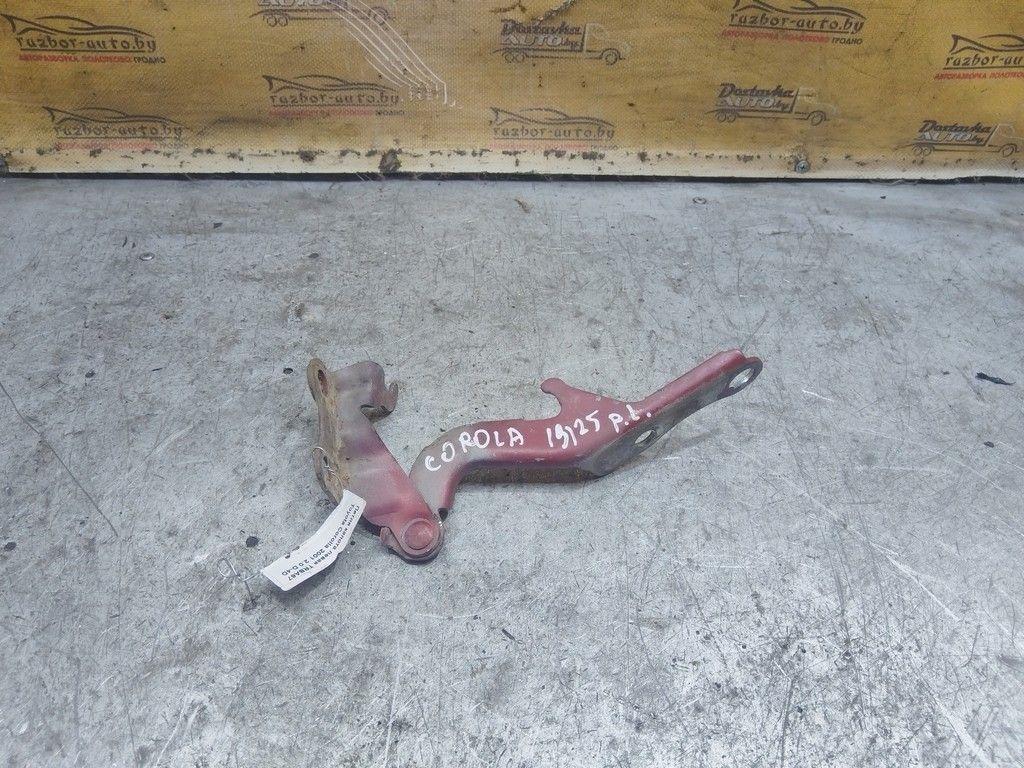 Петля капота левая TRBA67 Toyota Corolla - Фото 2