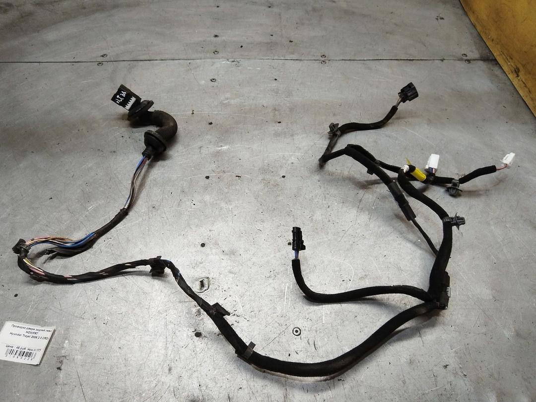 Проводка двери задней левой HOWFR7 Hyundai Trajet