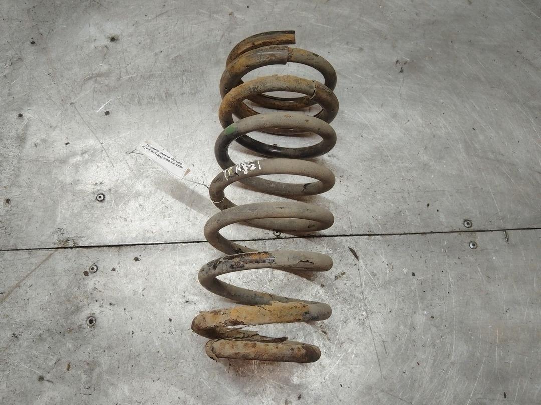 Пружина задняя 4ZVO8D Hyundai Trajet