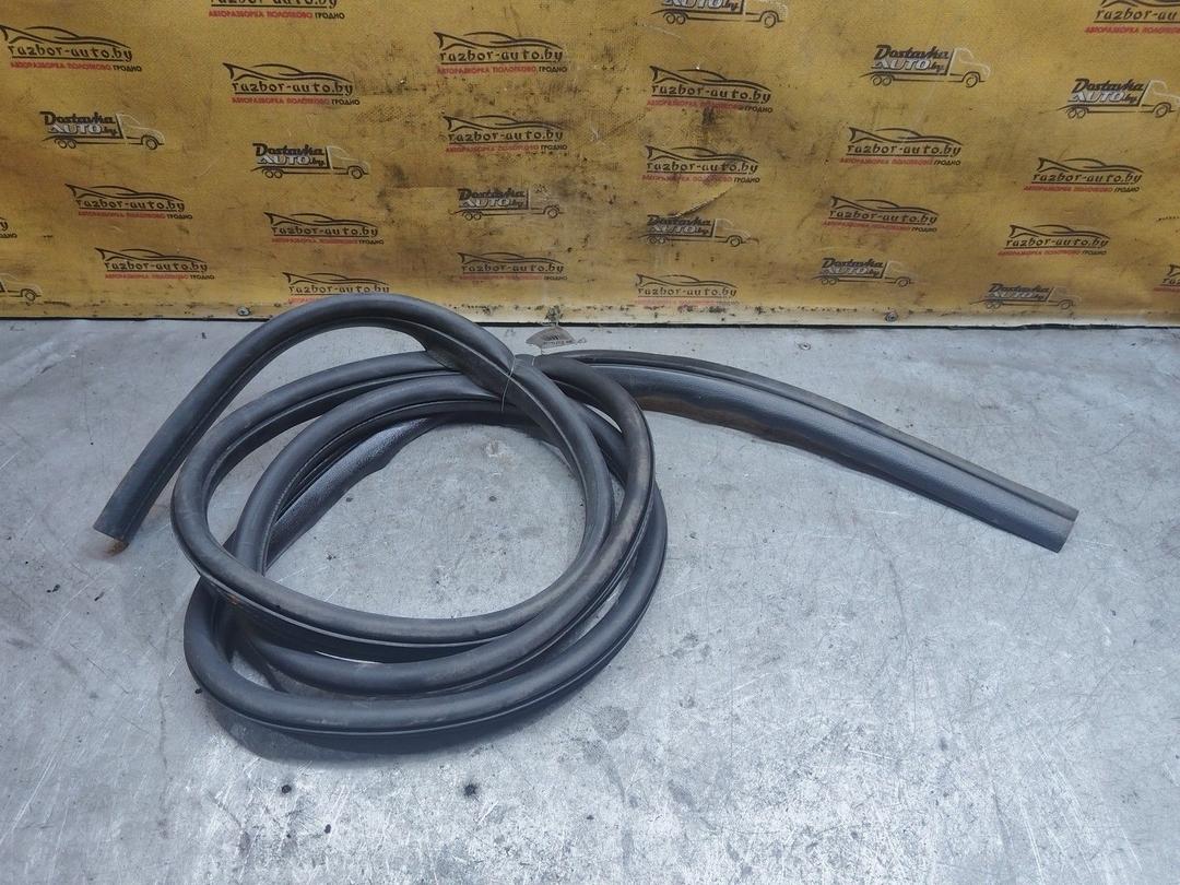 Уплотнитель двери передней левой M16RHH Ford C-Max купить