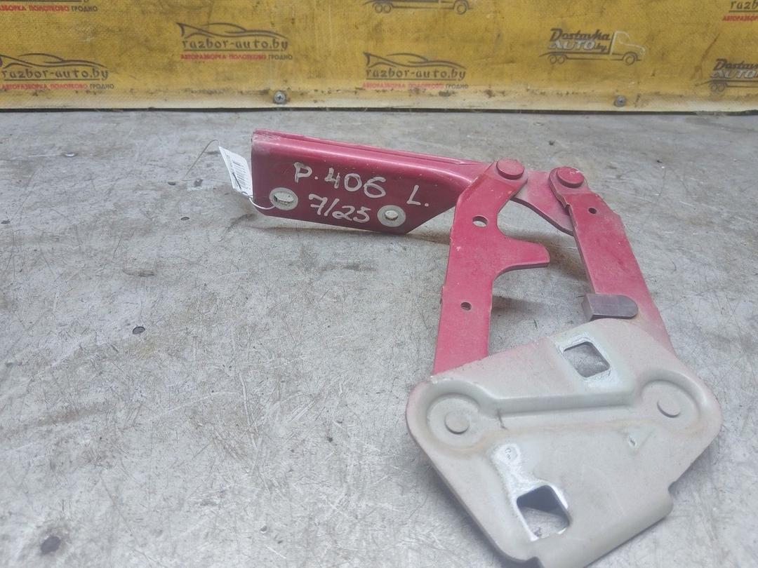 Петля капота левая SW3SO6 Peugeot 406 купить с доставкой. Огромный выбор запчастей и марок авто. У нас есть практически все.