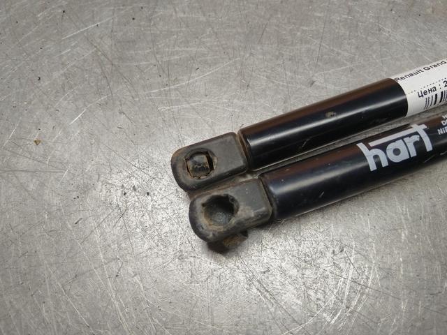 Амортизатор крышки багажника (3-5 двери) WWHDHF Renault Grand Scenic купить с доставкой