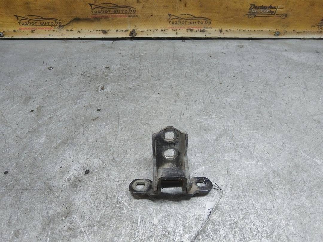 Петля двери задней правой YVSMWR Renault Scenic купить с доставкой