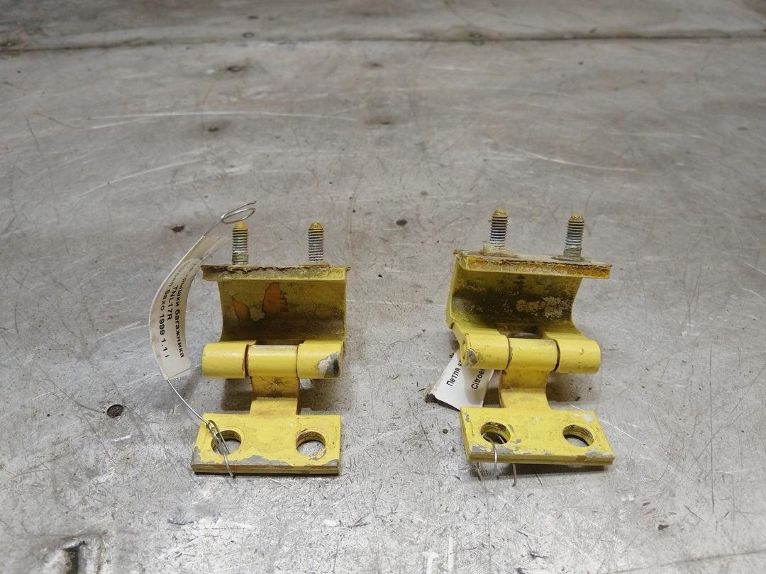 Петля крышки багажника TNL17R Citroen Saxo купить с доставкой