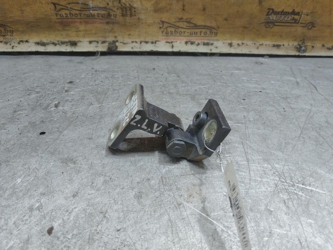 Петля двери задней левой P9QFY2 Volkswagen Jetta - Фото 1