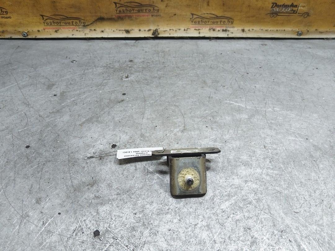 Петля крышки багажника CTQKFO Renault Scenic купить с доставкой