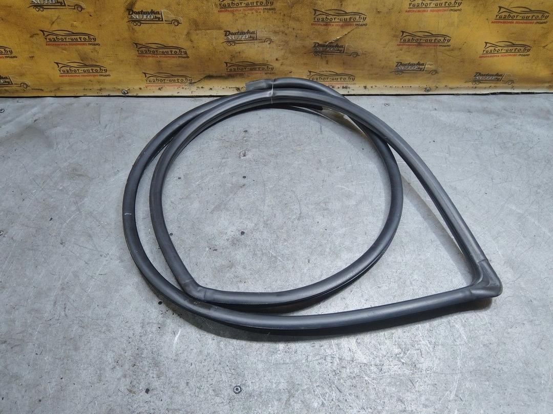 Уплотнитель двери передней левой RTJ6FY Toyota Corolla Verso - Фото 4