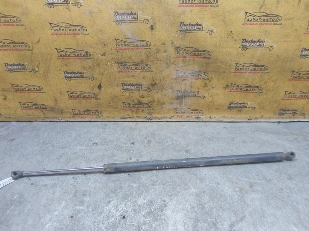 Амортизатор крышки багажника (3-5 двери) PAIOZ9 Renault Espace - Фото 4