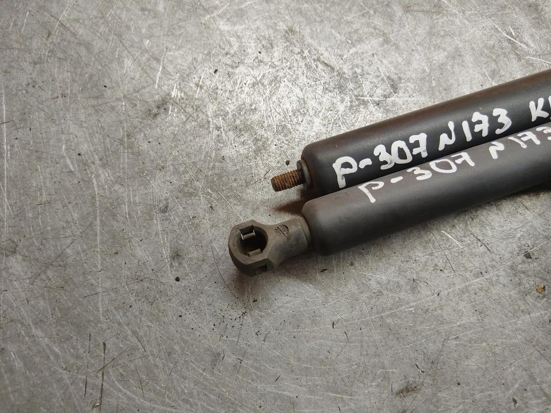 Амортизатор крышки багажника (3-5 двери) JYLNW9 Peugeot 307 - Фото 3