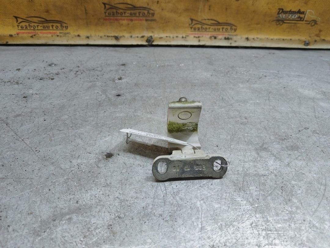 Петля крышки багажника CD9SRS Skoda Fabia купить с доставкой