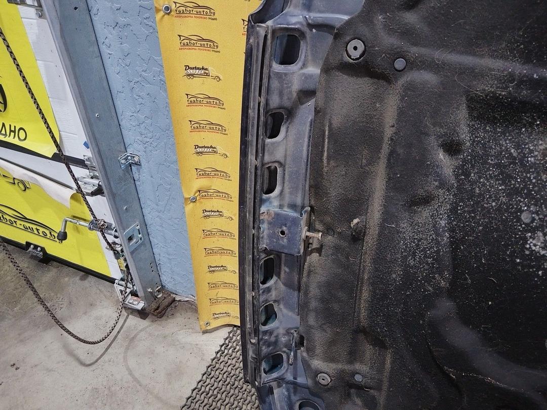 Капот U8GIZK Peugeot 405 купить на авторазборке