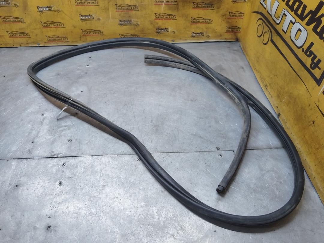 Уплотнитель двери задней правой 45RB8Q Renault Scenic RX4