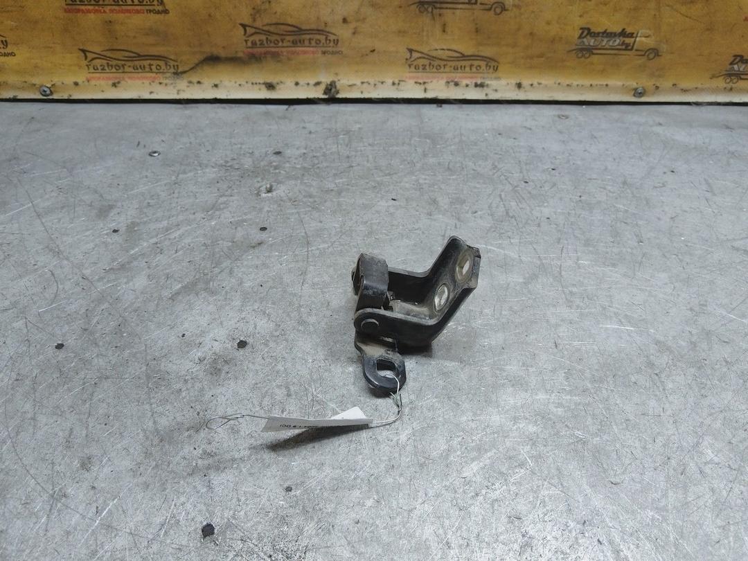 Петля двери задней правой YVSMWR Renault Scenic купить