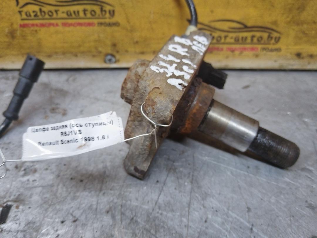 Цапфа задняя (ось ступицы) R6J1VS Renault Scenic - Фото 1