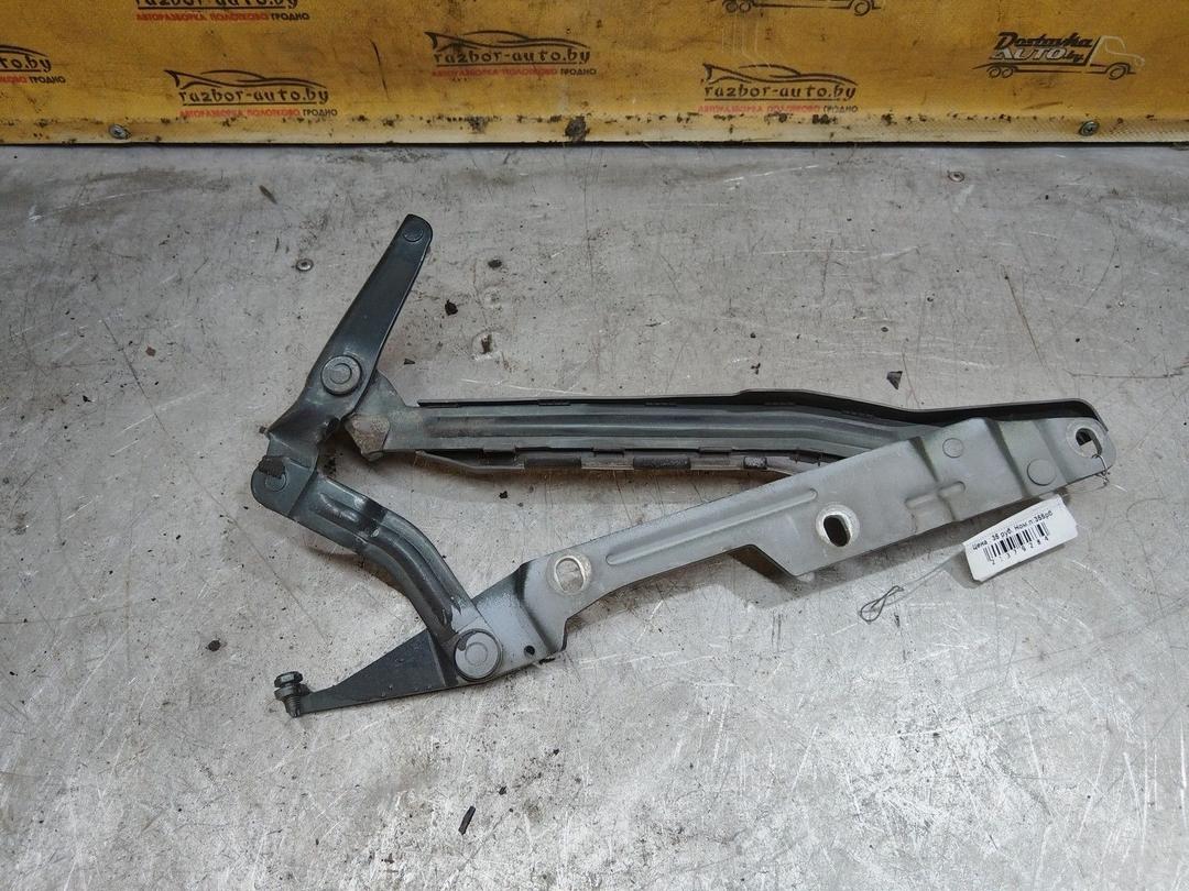 Петля крышки багажника XL6875 Audi 100 купить с доставкой