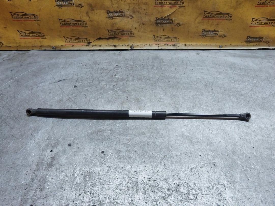 Амортизатор капота WJ595A Peugeot 607 купить