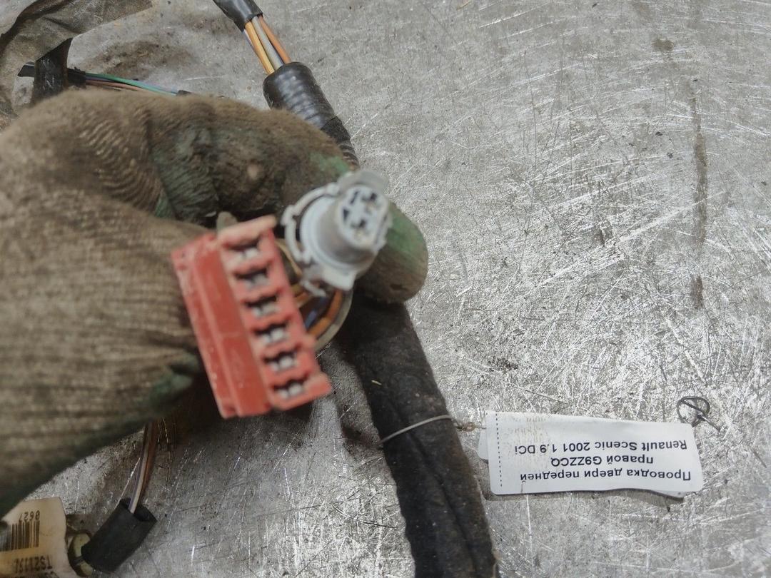 Проводка двери передней правой G9ZZCQ Renault Scenic купить на авторазборке