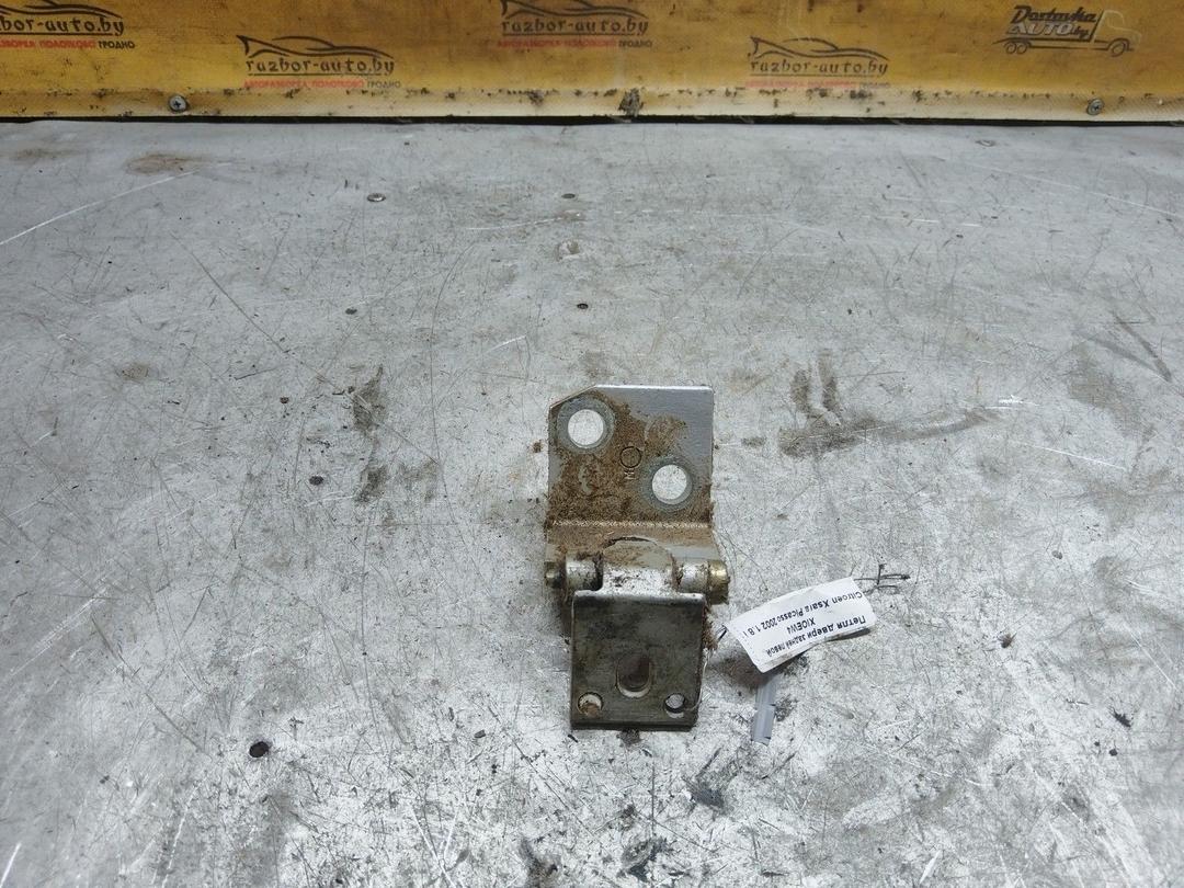 Петля двери задней левой XIOEW4 Citroen Xsara Picasso купить с доставкой