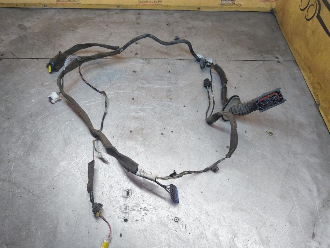 Проводка двери задней правой NJT895 Renault Scenic