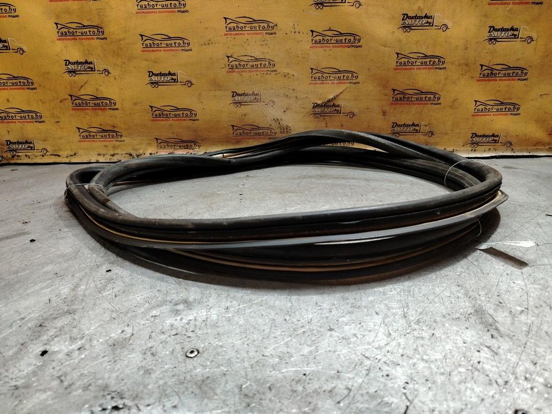 Уплотнитель двери передней правой TDB6D9 Peugeot 106 - Фото 4