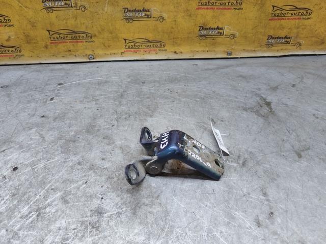 Петля двери задней левой K56CTG Toyota Corolla купить с доставкой