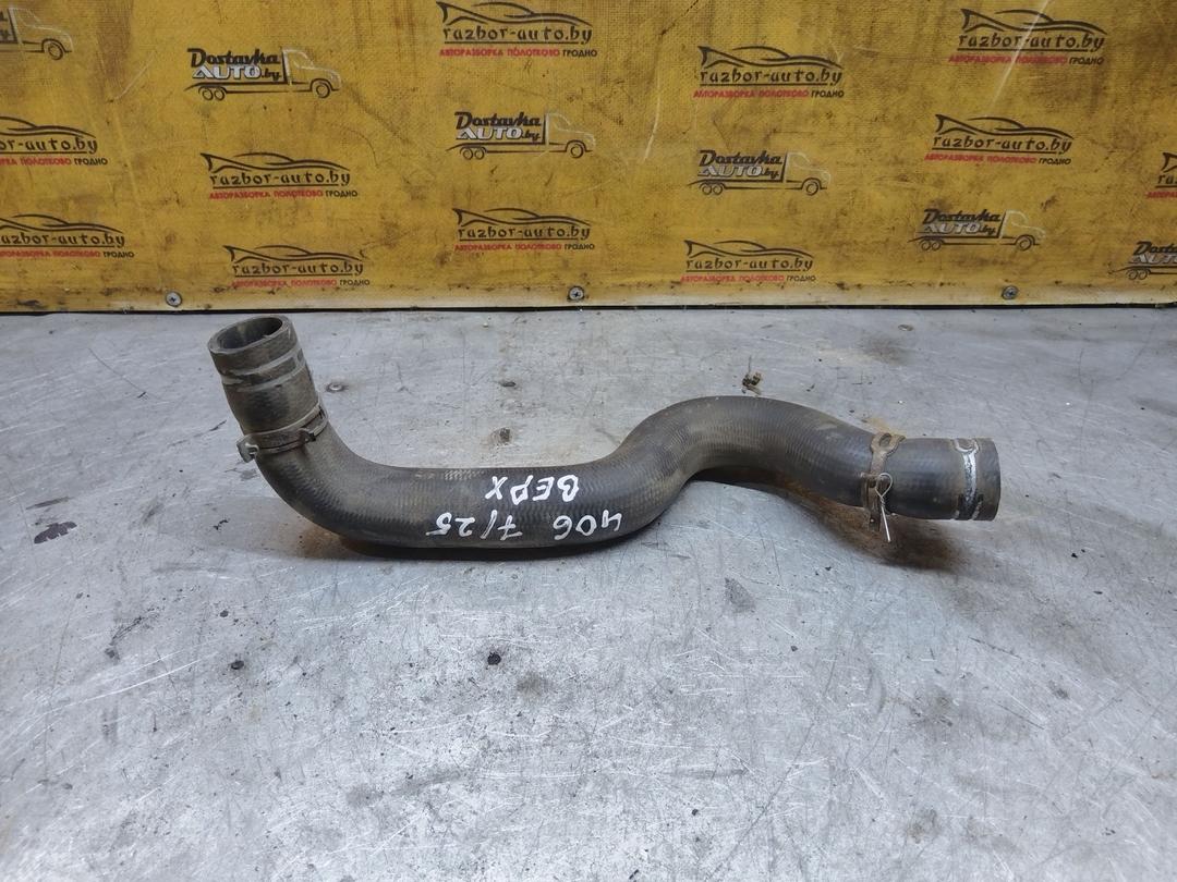 Патрубок радиатора NO4VZF Peugeot 406 - Фото 5