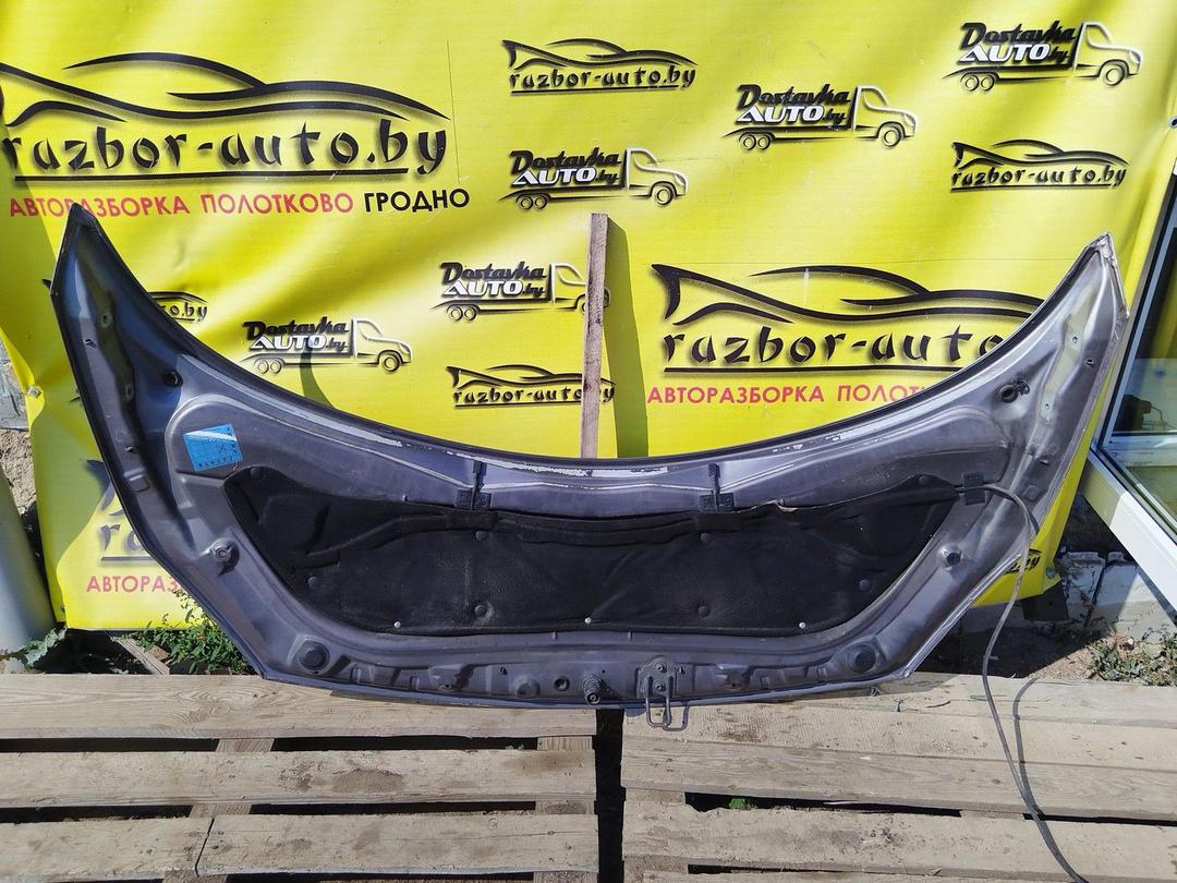 Капот AY5CP9 Renault Scenic купить с доставкой