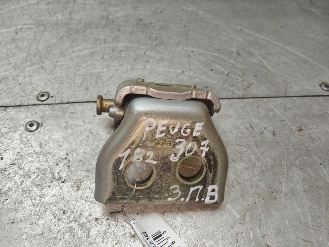 Петля двери задней правой RPDTSU Peugeot 307