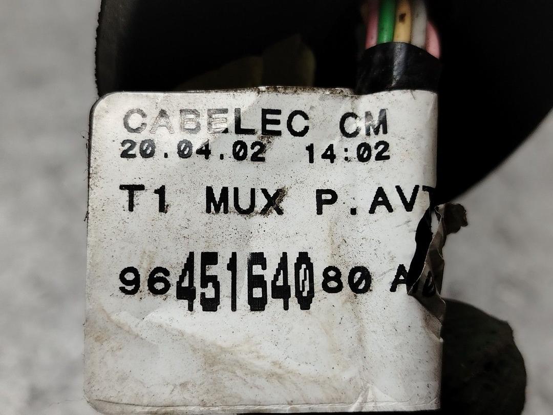 Проводка двери передней правой I5AU9N Peugeot 206 - Фото 5