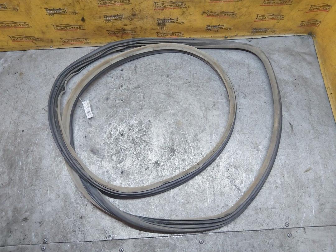 Уплотнитель двери передней левой DG5WG4 Renault Espace купить в магазине запчастей бу