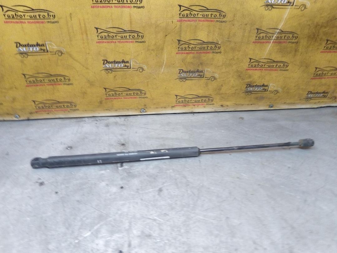 Амортизатор крышки багажника (3-5 двери) Z7OLMO Peugeot 406 - Фото 3