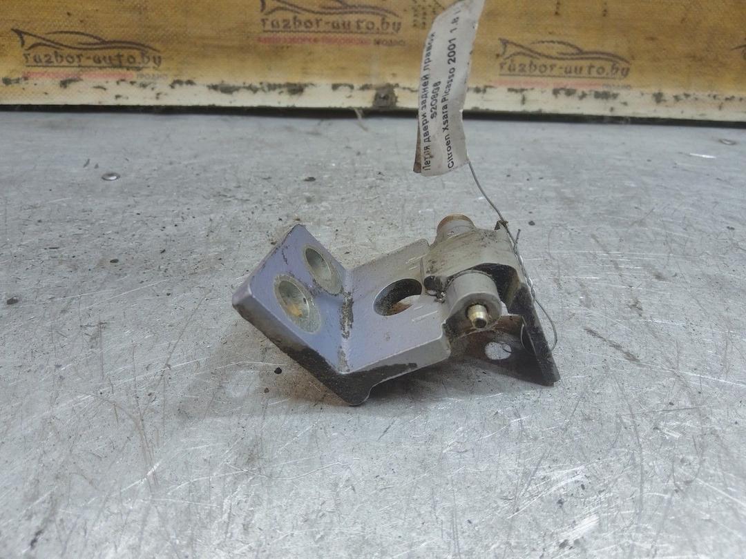 Петля двери задней правой S2O8G6 Citroen Xsara Picasso - Фото 1