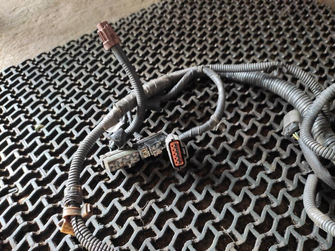 Проводка двигателя GGVBRX Nissan Almera Tino купить на авторазборке