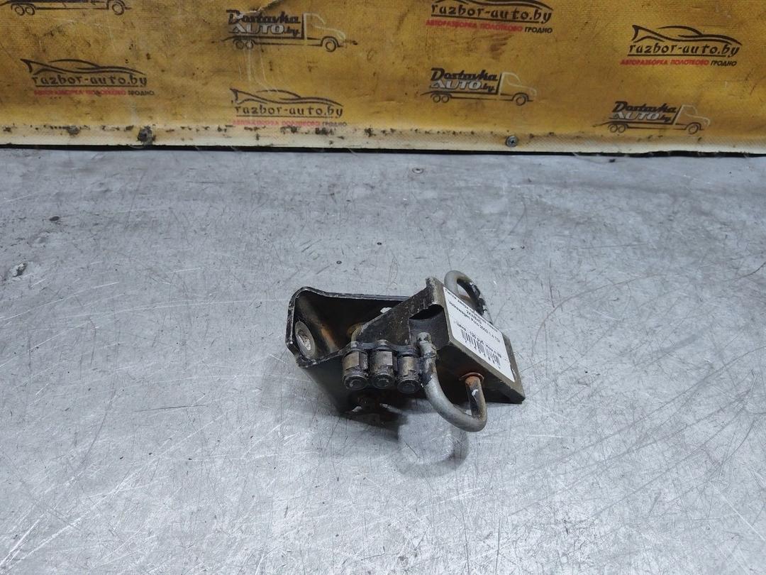 Петля двери передней левой 2XWE4D Volkswagen Polo