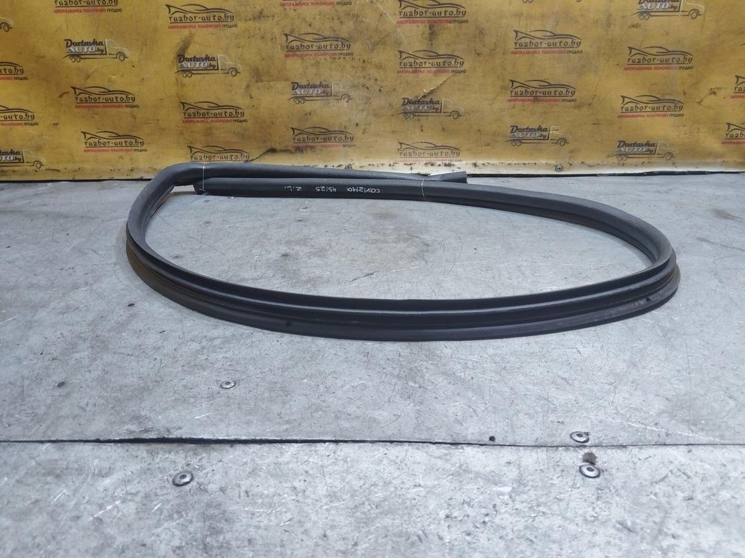 Уплотнитель двери задней левой RXHCWH Mitsubishi Carisma купить на авторазборке