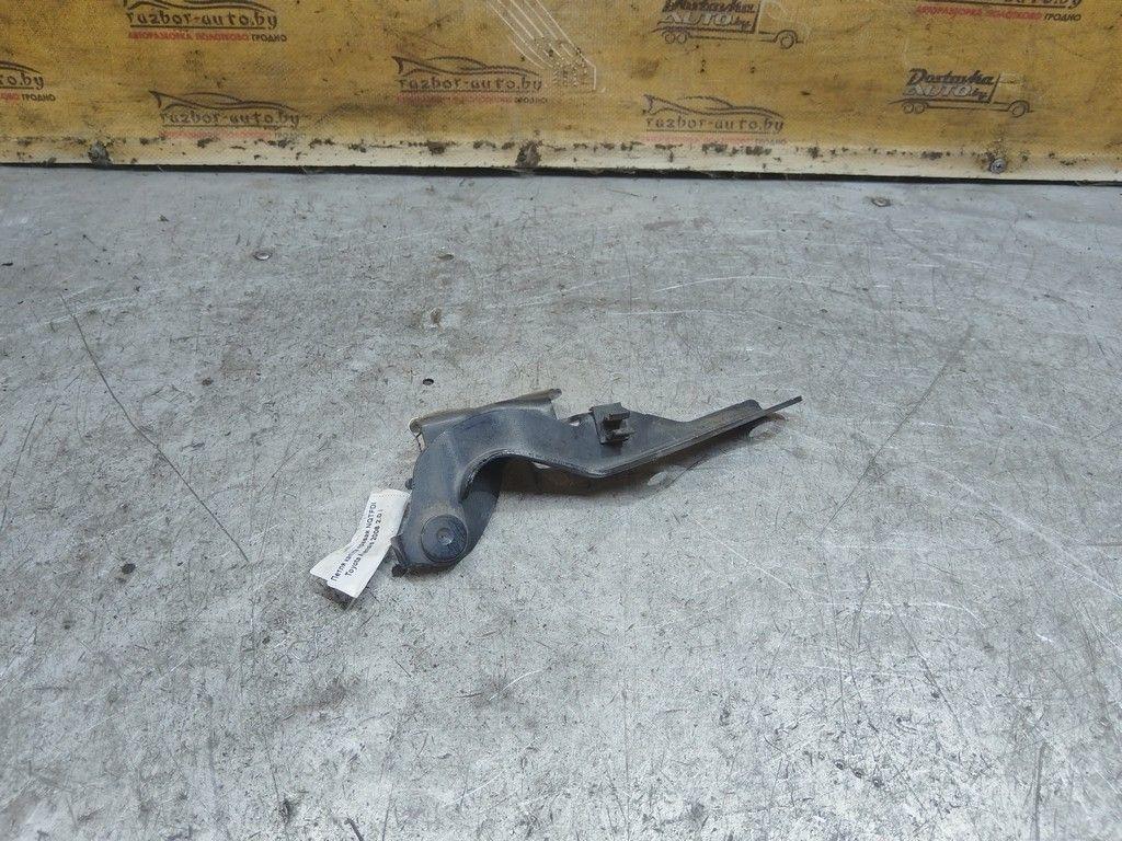 Петля капота правая NQTFDI Toyota Avensis - Фото 3