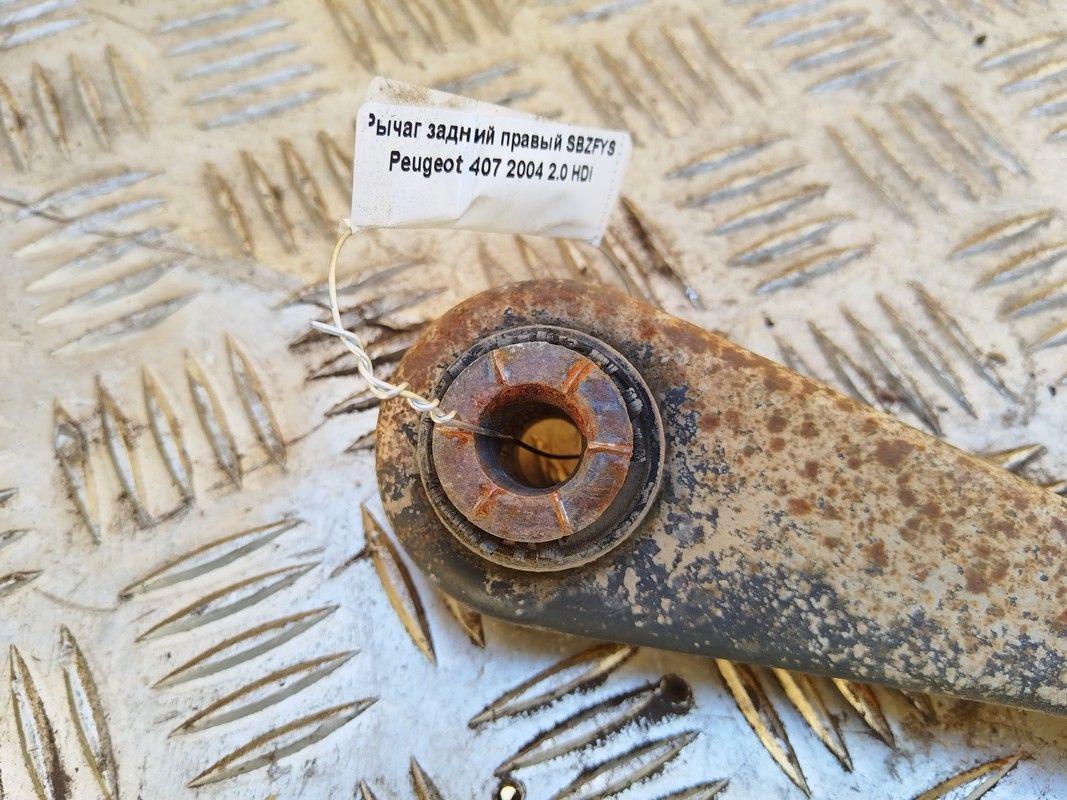 Рычаг задний правый SBZFYS Peugeot 407 купить с доставкой