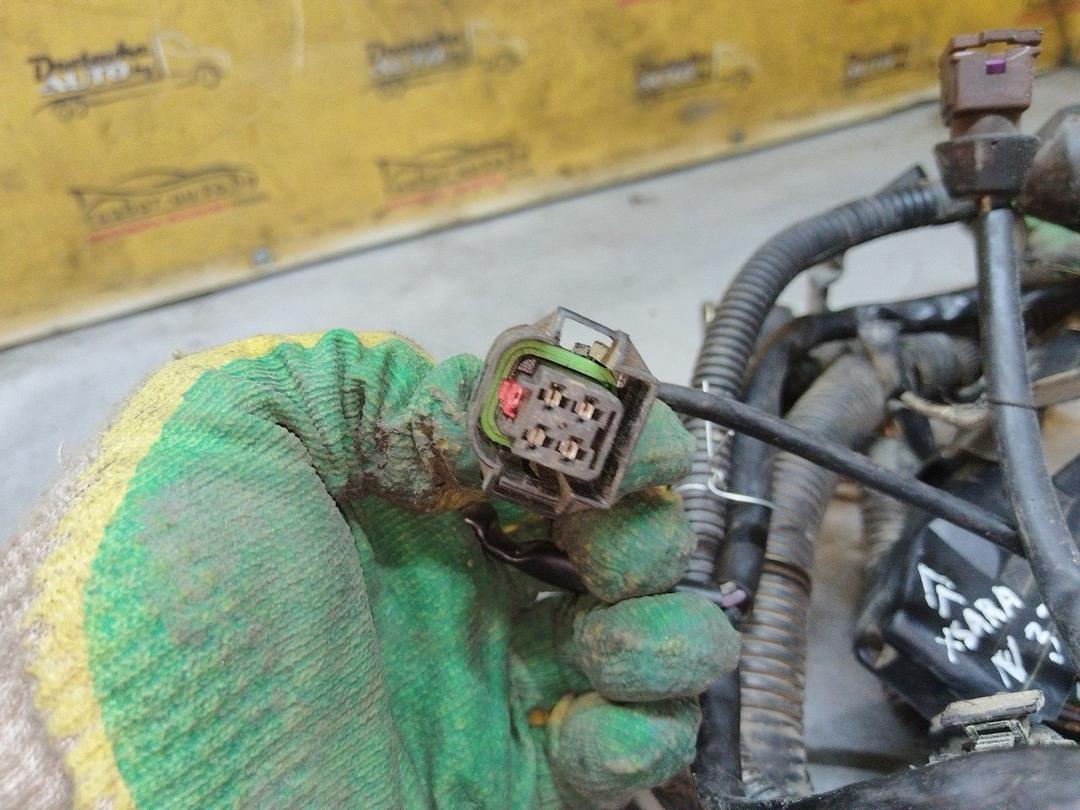 Проводка двигателя NWOS2X Citroen Xsara - Фото 10