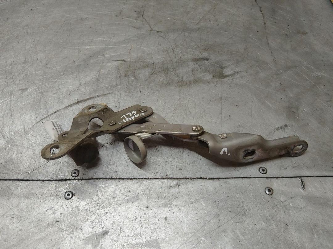 Петля капота левая RB9TV9 Volkswagen Sharan купить