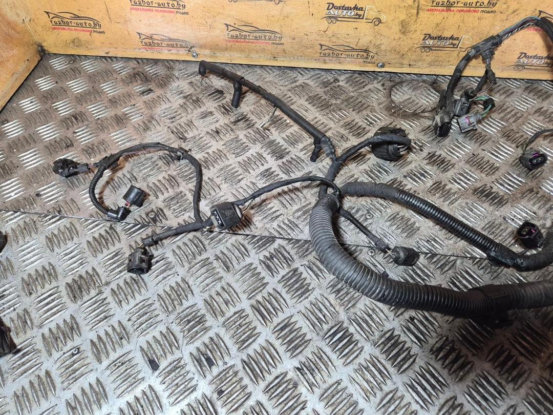 Проводка двигателя QGEAEF Volkswagen Passat купить с доставкой