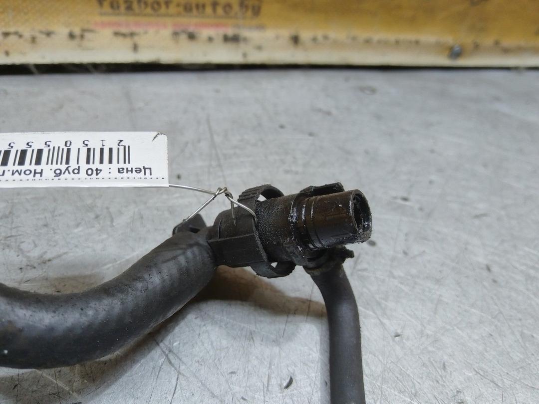 Трубка вакуумная N1AKVQ Renault Laguna купить на авторазборке