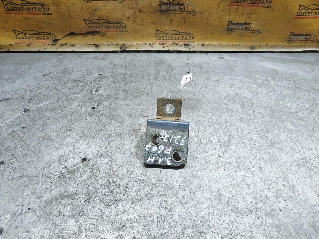 Петля двери задней левой LL4L8K Peugeot 607 купить с доставкой