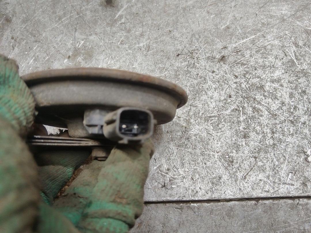 Сигнал (клаксон) OGGFXD Kia Carnival - Фото 3