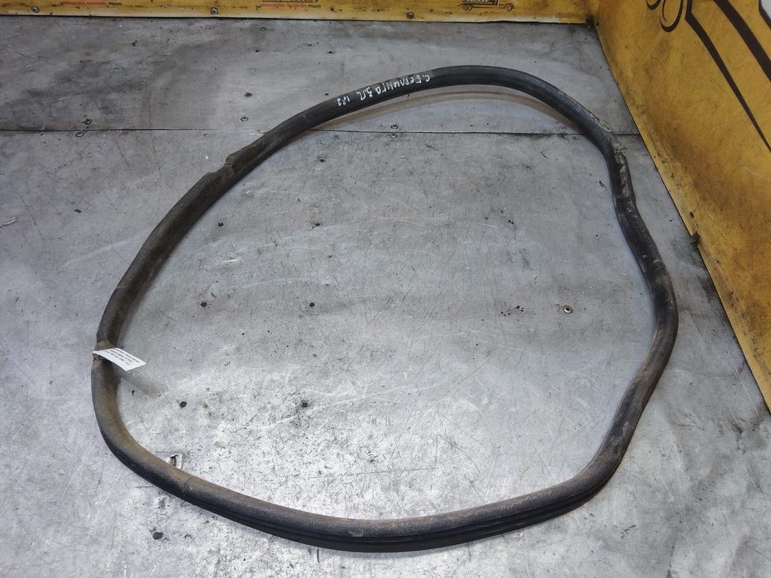 Уплотнитель стекла задней правой двери 1U7XAZ Citroen Berlingo