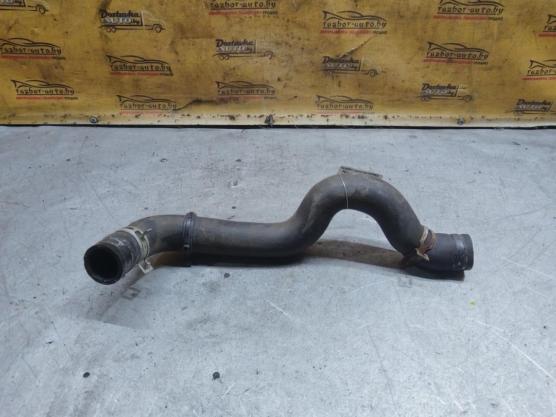 Патрубок радиатора KMF9D3 Peugeot 406