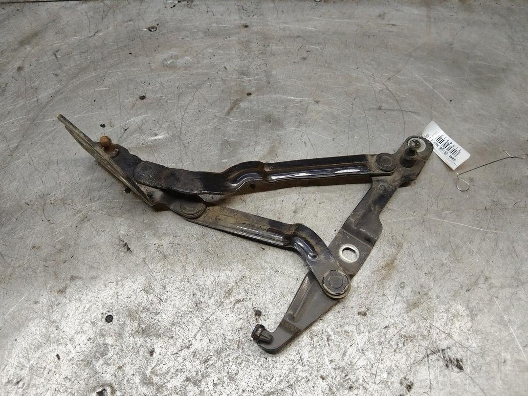 Петля крышки багажника DPCB1G Volkswagen Passat - Фото 1