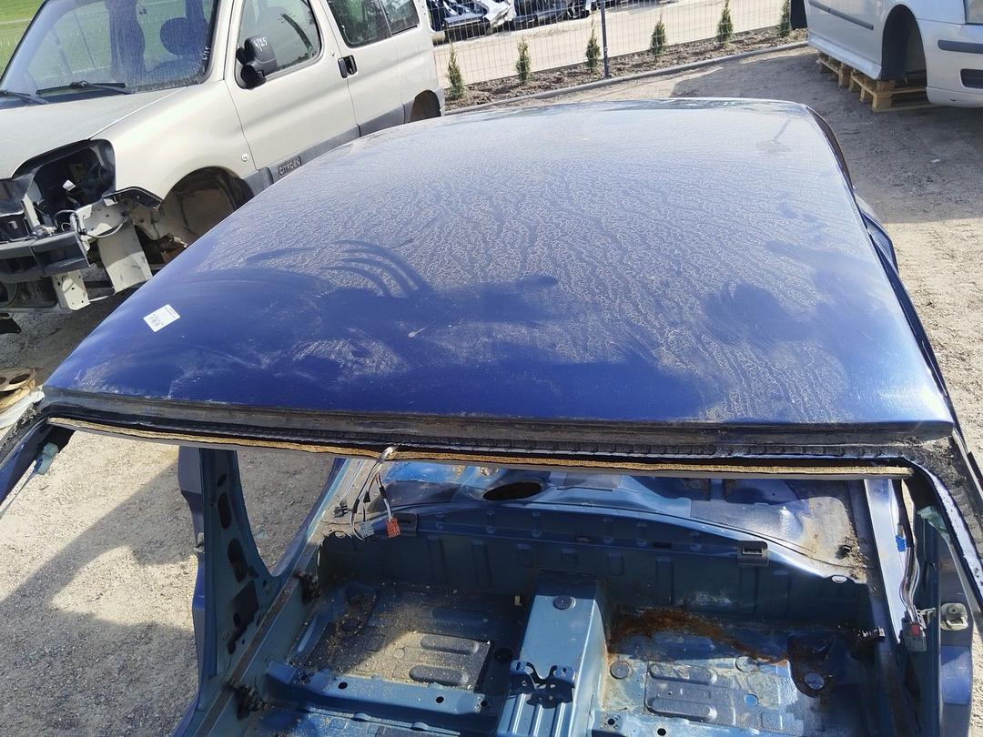 Крыша L12Z10 Renault Laguna - Фото 3