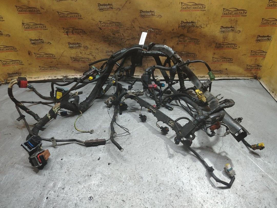 Проводка двигателя 2DML30 Peugeot 307 - Фото 1