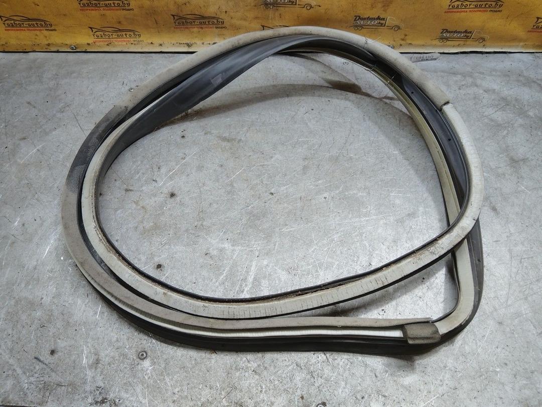 Уплотнитель двери передней левой 1KYOL1 Seat Toledo - Фото 3