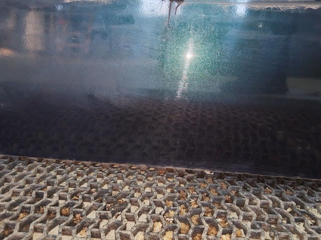 Дверь задняя правая Y0TUUD Renault Safrane - Фото 3